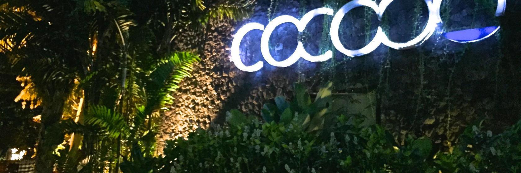 Klub plażowy Cocoon